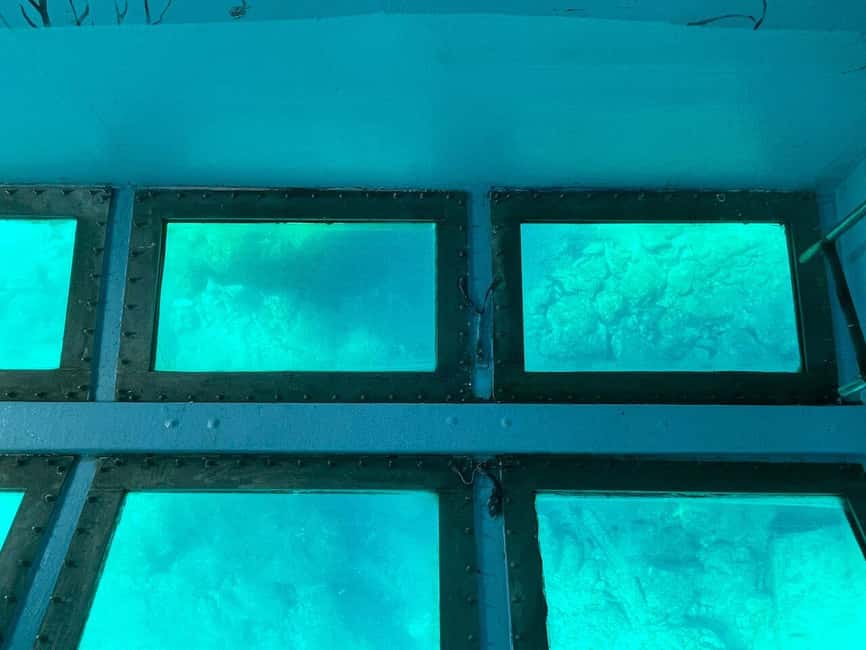 FROM PAPHOS: 1.5 HRS Glass Bottom Boat Cruise with swimming - Key points to know before you book