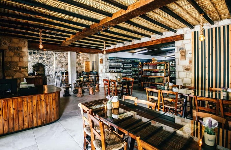 From Paphos: Afternoon Tour to Agios Neophytos Monastery - Who will enjoy this tour most