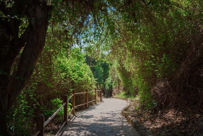 From Paphos: Blue Lagoon and Baths of Aphrodite Day Trip - Edro III and the coastal caves