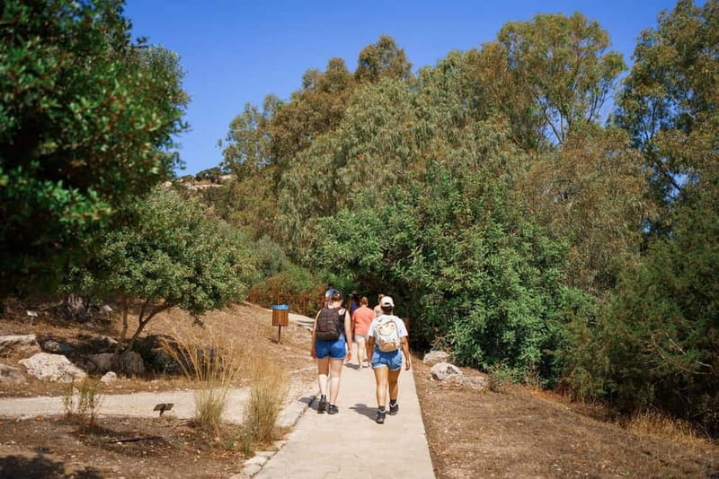 From Paphos: Blue Lagoon and Baths of Aphrodite Day Trip - The coach ride and the human side of the tour