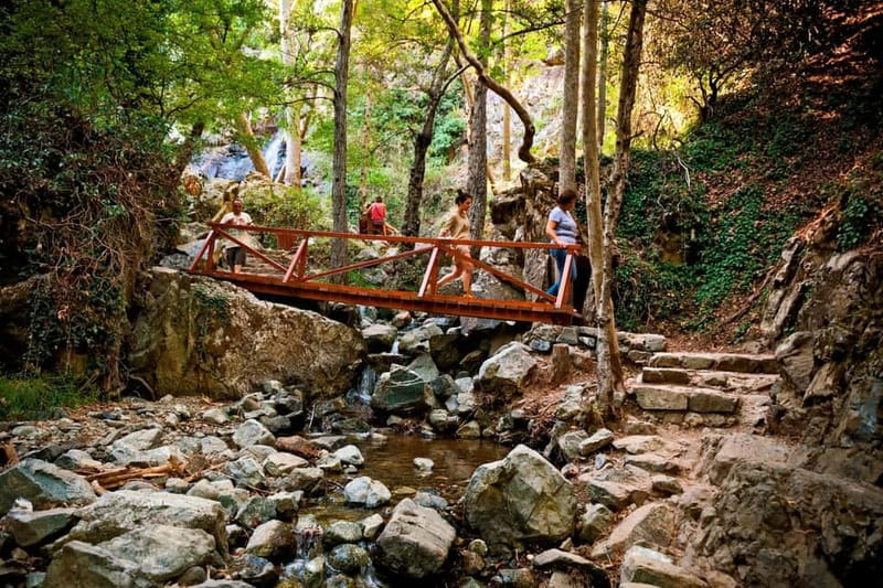 From Paphos: Caledonia Waterfalls Walking Tour with Lunch - Why this mountain day is different from Paphos