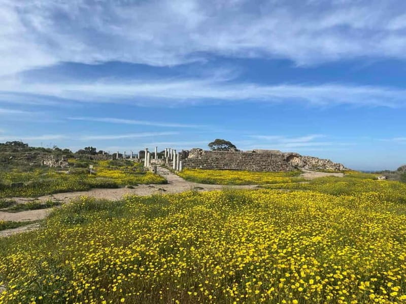From Paphos: Famagusta, Salamis, and Varosha Walking Tour - Key points to know before you book