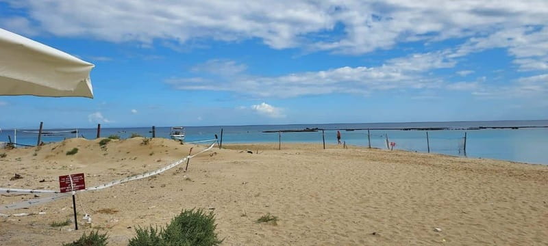 From Paphos: Famagusta, Salamis, and Varosha Walking Tour - Salamis ruins, with ancient stone beside the sea