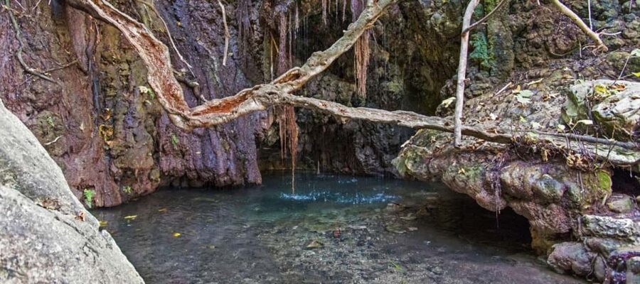 From Paphos or Limassol: Akamas National Park Jeep Safari - Who will get the most from this day