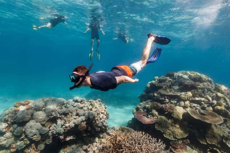 FROM PAPHOS: Snorkeling at the Marine Park (shore) - Equipment, wetsuits and what to pack