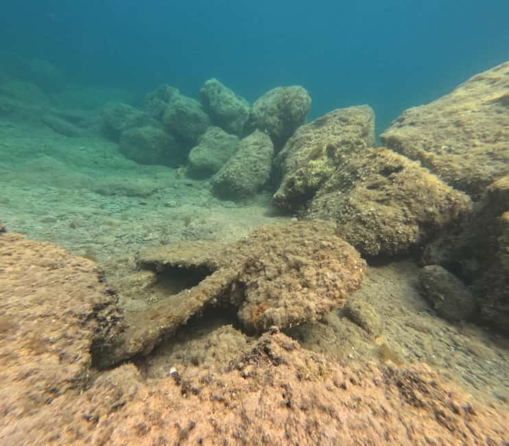 FROM PAPHOS: Snorkeling at the Marine Park (shore) - Is $53 a fair price?