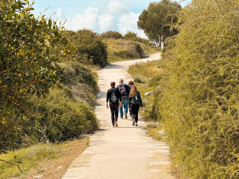 From Paphos: Trip to Limassol with Kourion & Kolossi Castle - Key points at a glance