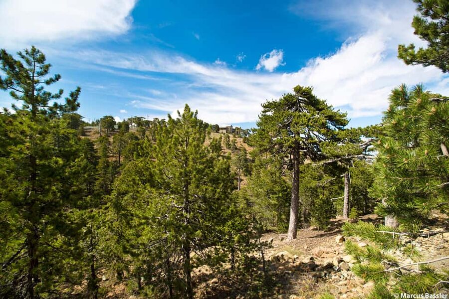From Paphos: Troodos Jeep Safari - Tzelefos Bridge, a stone crossing in the forest