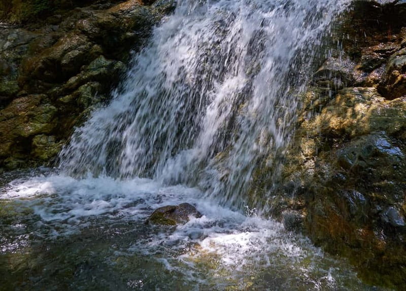 From Protaras: Full-Day Grand tour Jeep Safari with Lunch - Mesa Potamos Forest and the waterfall walk