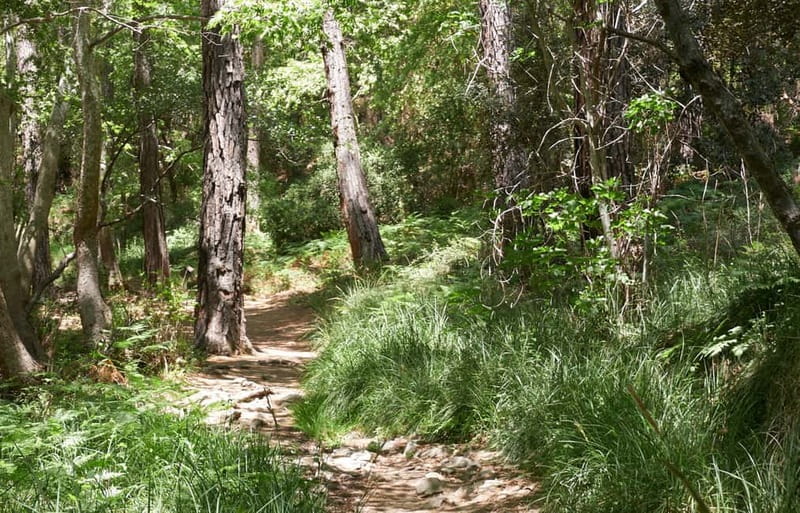 From Protaras: Full-Day Grand tour Jeep Safari with Lunch - Dipotamos Reservoir: a quick first view