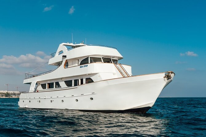 Full Day Blue Lagoon Cruise (Paphos to Latchi) - Sea Star - Price, group size, and what you get for $82.91