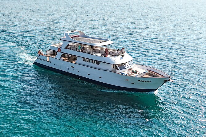 Fun Fishing & Relaxing Cruise at Larnaca Bay - Swimming along the airport coast