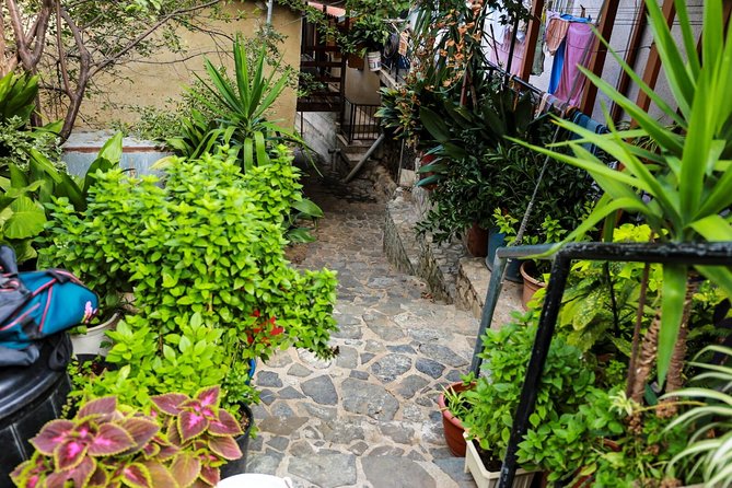 Gourmet Cyprus Tour – Local Flavors & Wine from Paphos - Lania brings village charm before the tastings begin