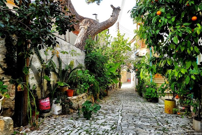 Gourmet Cyprus Tour – Local Flavors & Wine from Paphos - The road, group size, and timing matter