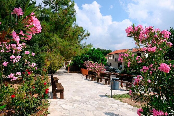 Grand Tour Full Day Jeep Safari from Paphos - A full day from Paphos into the Troodos Forests