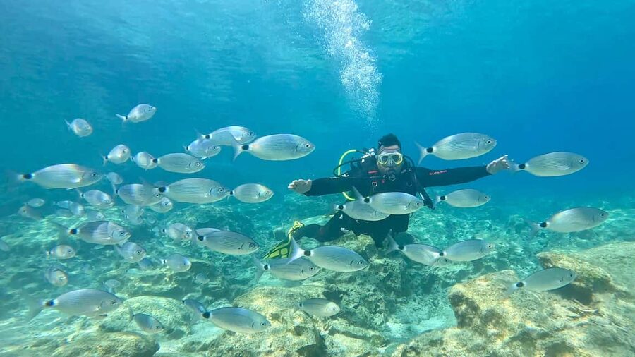 Green Bay Cyprus - Scuba diving - Guided Dive or Try Dive - Green Bay gives beginners a real taste of scuba