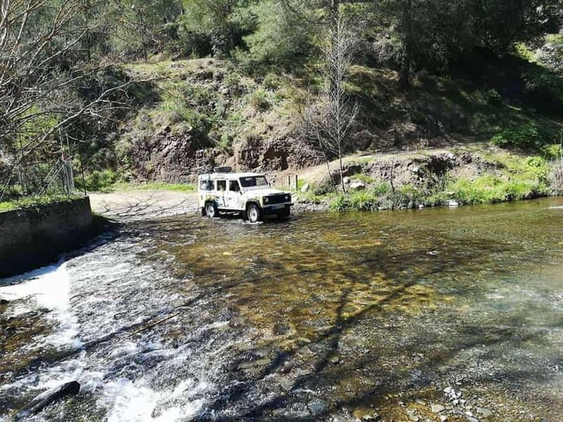 Guided Safari Tour Troodos Mountains and Kykkos Monastery - Troodos Forest and the old Venetian bridge