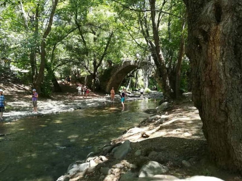Guided Safari Tour Troodos Mountains and Kykkos Monastery - Mount Olympos at 1,952 meters