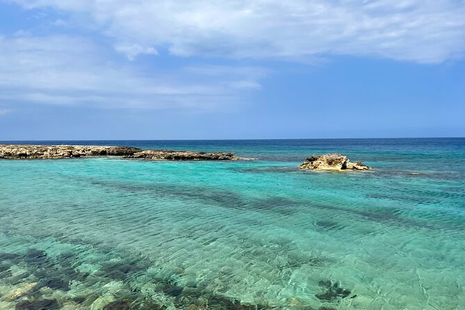 Guided snorkeling trip to the turtles in Protaras - The Xenios conservation program