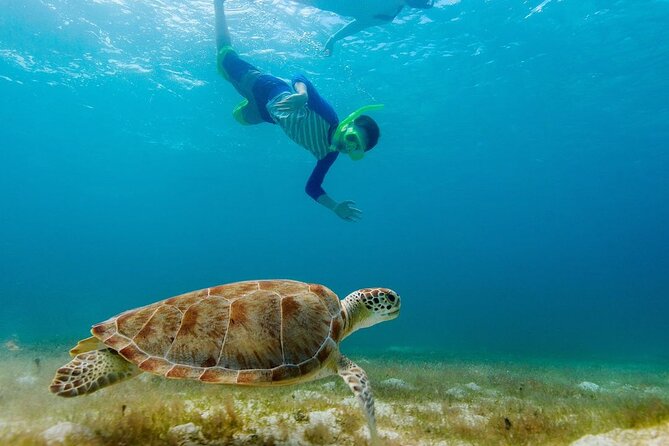 Guided snorkeling trip to the turtles in Protaras - Who will enjoy this most