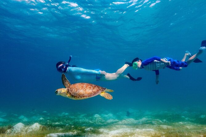 Guided snorkeling trip to the turtles in Protaras - A good choice for families, with sensible expectations