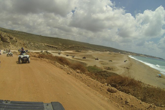 Half-Day Buggy Safari to Akamas Peninsula with Lunch - Quad or Buggy: Which Should You Choose?