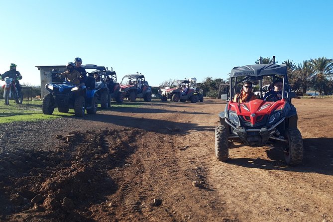 Half-Day Buggy Safari to Akamas Peninsula with Lunch - Timing, Pickup, and Cancellation