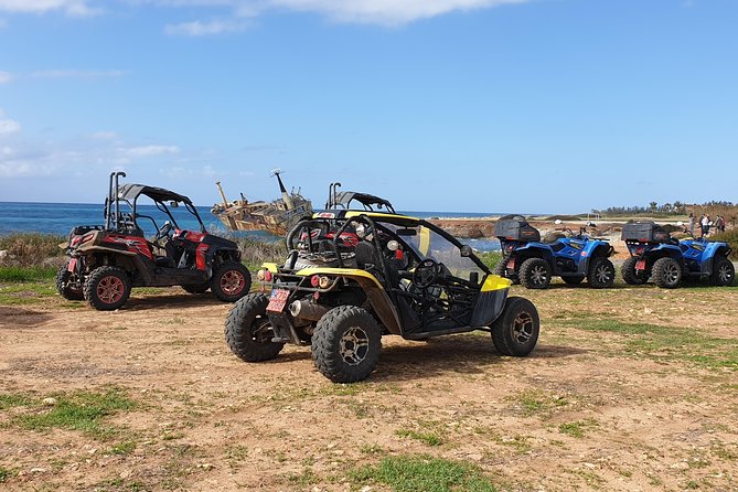 Half-Day Buggy Safari to Akamas Peninsula with Lunch - Lara Bay and the Turtle-Conservation Stop