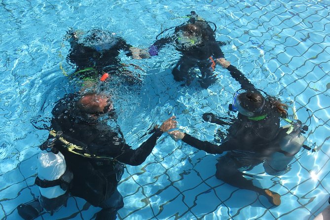 Half-Day Scuba Diving Tour - Discover Scuba Diving! - What you might see beneath Paphos