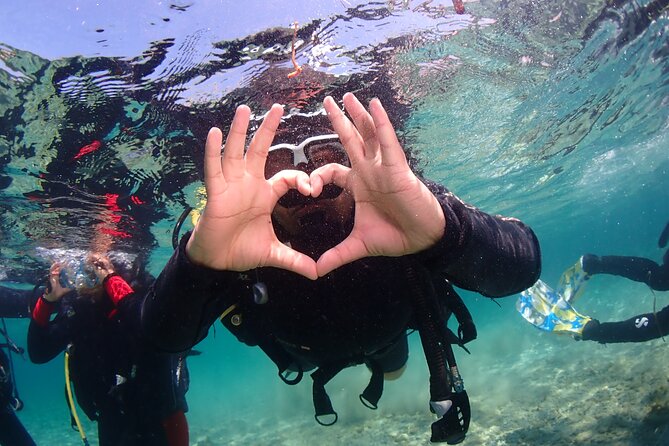 Half-Day Scuba Diving Tour - Discover Scuba Diving! - Pool training before the sea