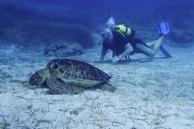 Introductory diving in small groups - The instructors are the heart of the experience