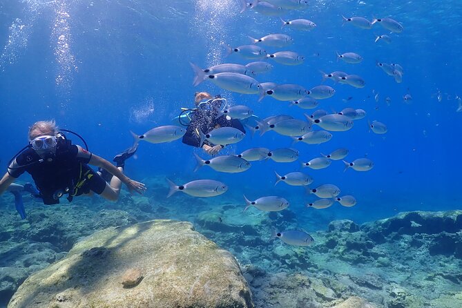 Introductory diving in small groups - Who will get the most from this three-hour outing