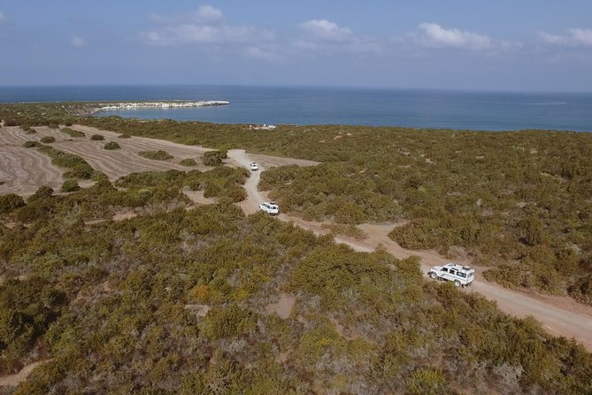 Jeep Safari Akamas from Paphos - Key points to know before booking