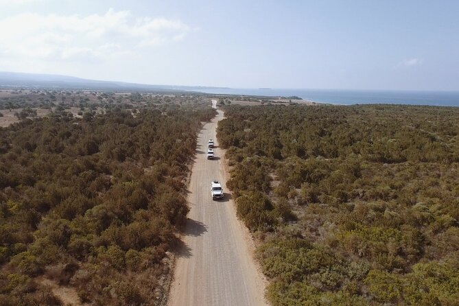 Jeep Safari Akamas from Paphos - From Paphos to the rough tracks of Akamas