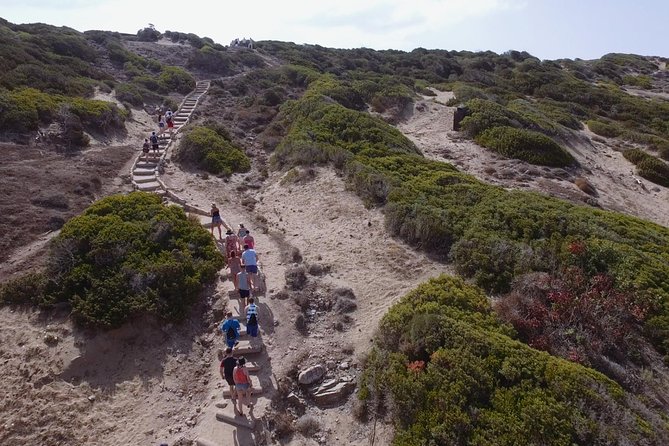 Jeep Safari Akamas from Paphos - Practical advice for a better day