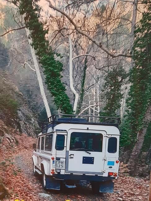 Jeep safari in French, English to Akamas, Gorge, Donkey Farm - Why this jeep day works for Akamas