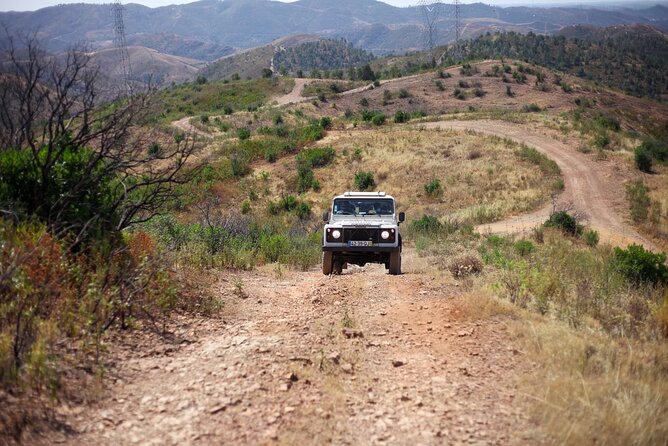 Jeep Safari to Akamas National Park: Avakas Gorge Tour from Paphos - Aphrodite’s Baths: pretty, brief, and easy to overrate