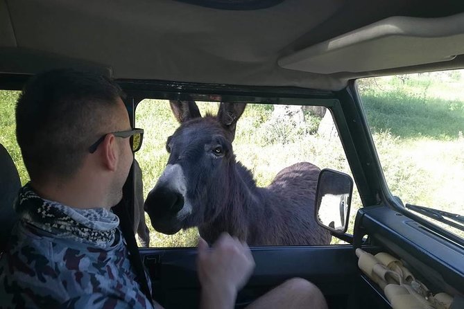 Jeep Safari to Akamas National Park: Avakas Gorge Tour from Paphos - The Edro III shipwreck and the closing views