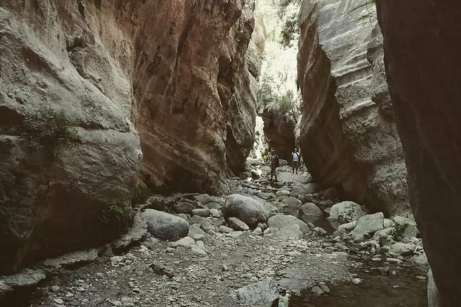 Jeep Safari to Akamas National Park: Avakas Gorge Tour from Paphos - Guides make or break this small-group outing
