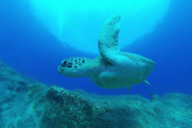 Jubilee Shoals guided boat dives - Why the group limit of 10 helps