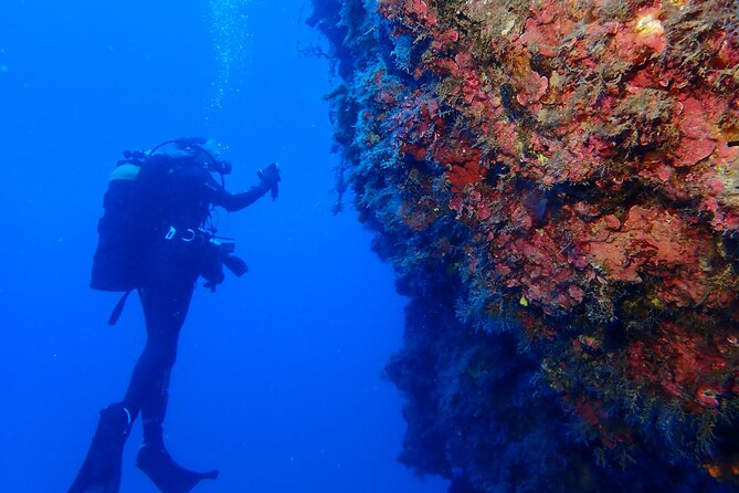 Jubilee Shoals guided boat dives - The early Pissouri meeting and boat departure