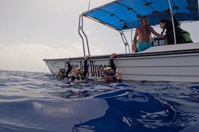 Jubilee Shoals guided boat dives - What the $192.66 price means