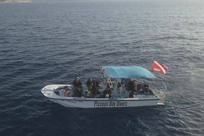Jubilee Shoals guided boat dives - Who will get the most from this outing