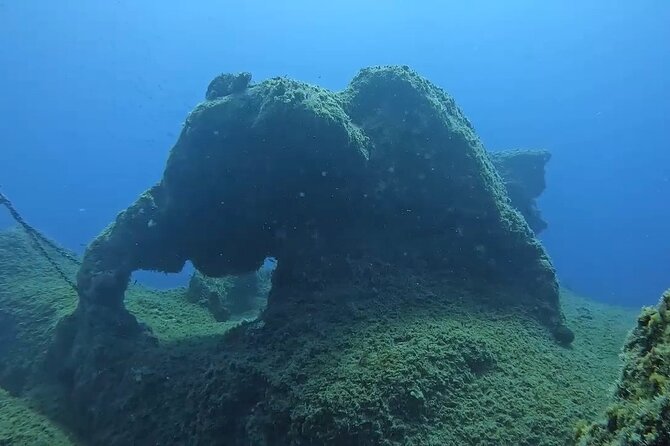 Jubilee Shoals guided boat dives - Booking, weather, and cancellation details