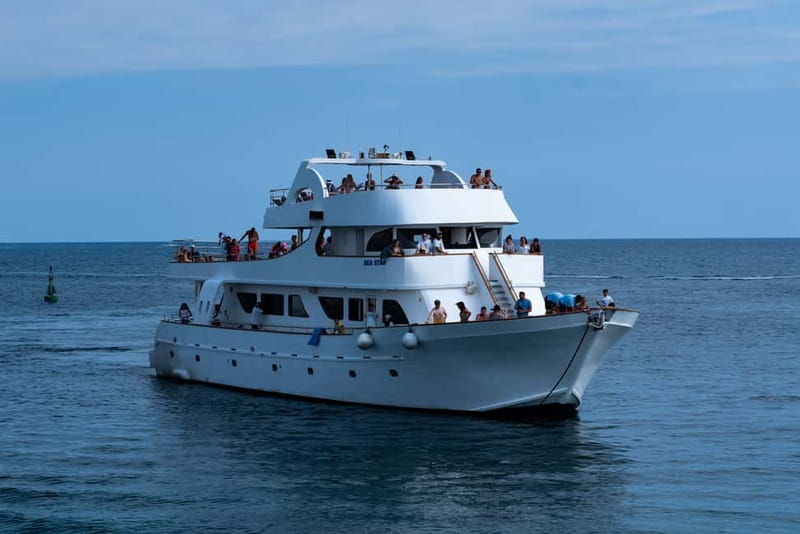 Lagoon to Paphos: Blue Lagoon All Inclusive Round Trip - From central Paphos to Latchi Harbour