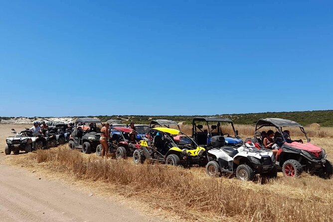 Lara Bay & Adonis Falls Quad & Buggy Tour - Sea Caves and the Edro III shipwreck