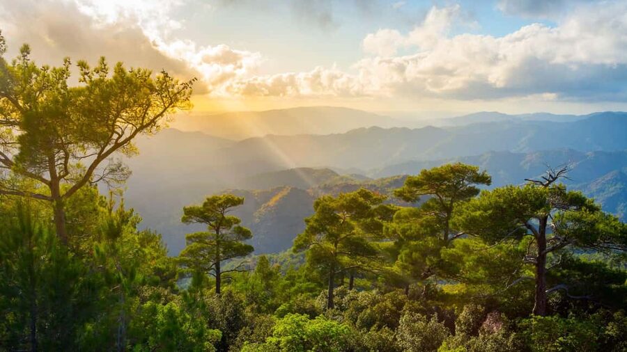 LARNACA/AYIA NAPA/PROTARAS: Nicosia & Troodos Mountains - Nicosia first, with one hour for the divided capital