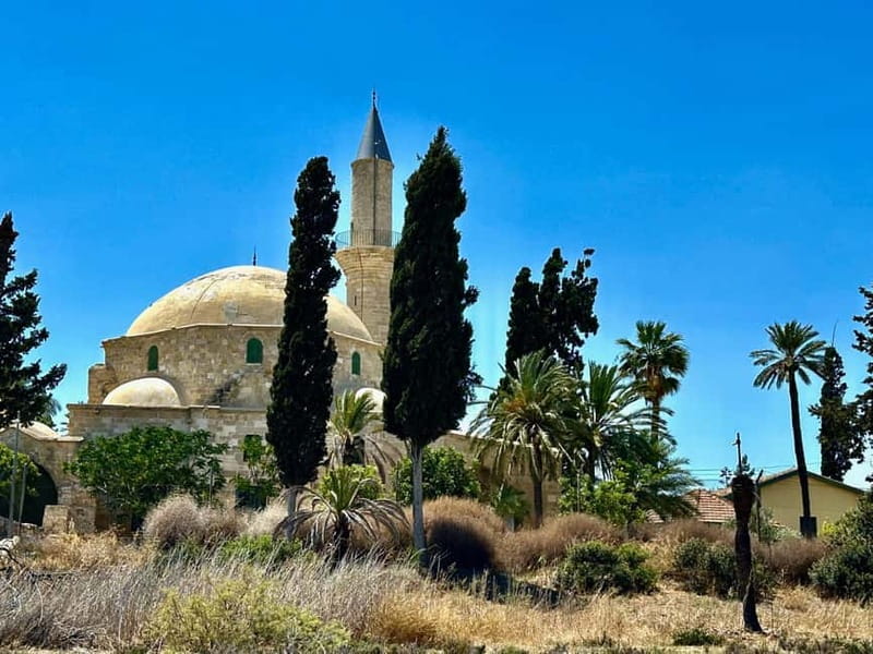 Larnaca: private guide to explore the Top-Sightseeings - Salt Lakes, open scenery, and seasonal flamingos
