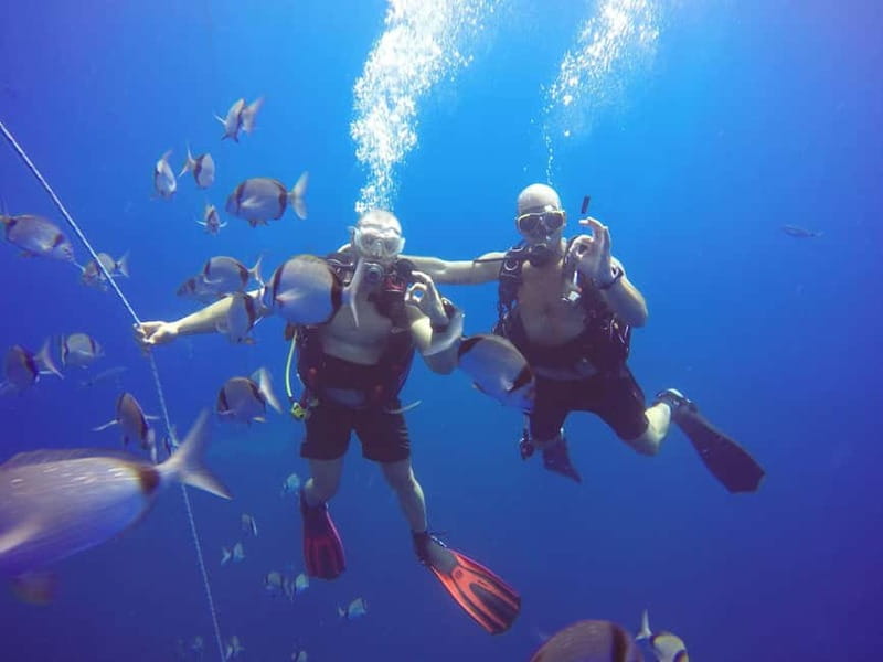 Larnaca: Private Zenobia Beginners Divers - Key points to know before booking