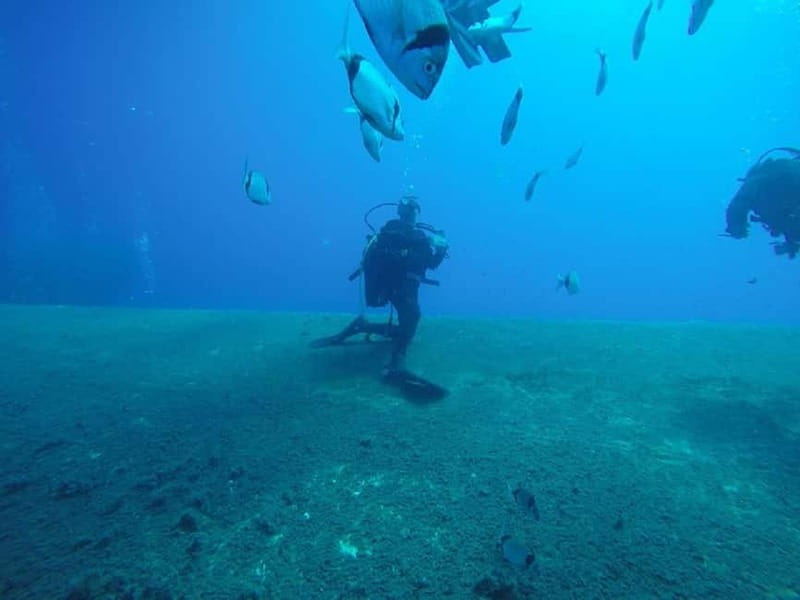 Larnaca: Private Zenobia Beginners Divers - The Zenobia wreck, and what you actually get to see